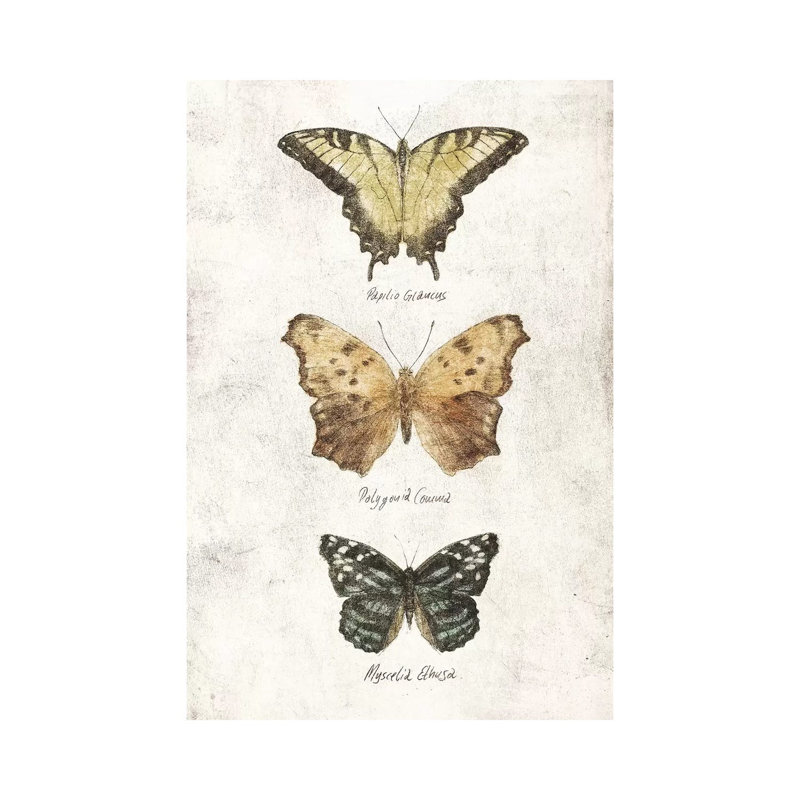 Butterflies II by Mike Koubou - Painting on Canvas, Wrapped Canvas, 30.48cm H x 20.32cm W x 1.91cm D