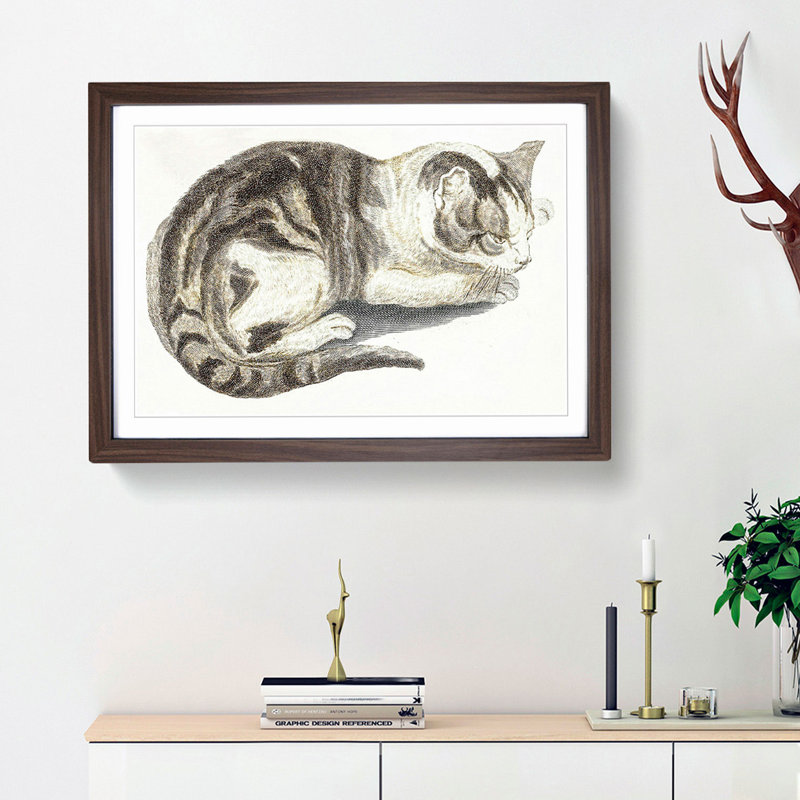 Cat by Johan Teyler - Picture Frame Painting Print, Walnut Framed, 36cm H x 48cm W x 2cm D