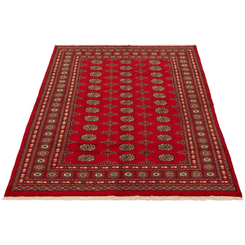 Tapis unique en laine noué à la main nouvel âge 5 pi 8 po x 8 pi 2 po Peshawar