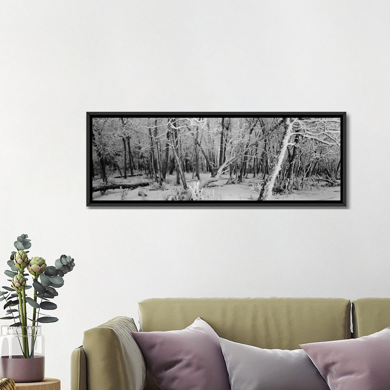 Reproduction de photo sur toile panoramique couverte d'arbres dans une forêt, Alberta, Canada, H 12 po x l 36 po x P 1,5 po