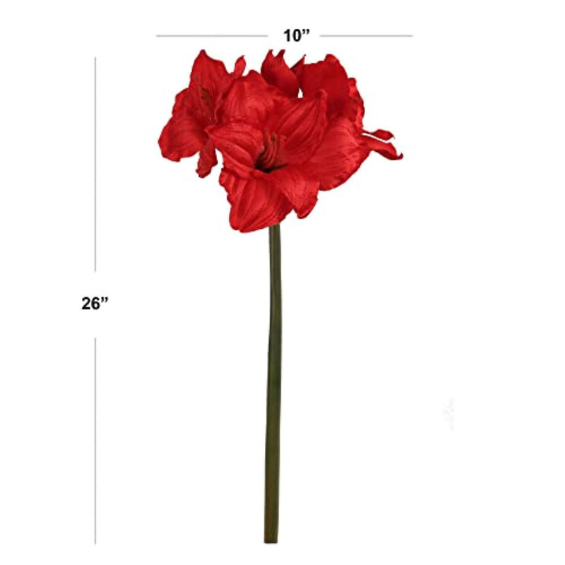 Amaryllis Arrangement