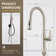Nette Single-Handle Kitchen Faucet with Pull Down Sprayer 