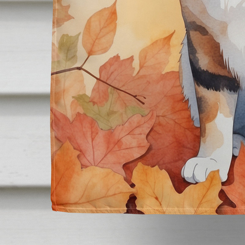 Chat en feuilles d'automne, Korean Bobtail