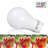 TS030 9 W A19 GU24/Twist and Lock Dimmable LED Bulb-33071706