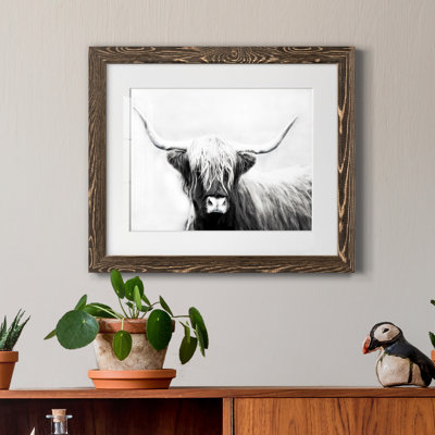 " Highland Longhorn "