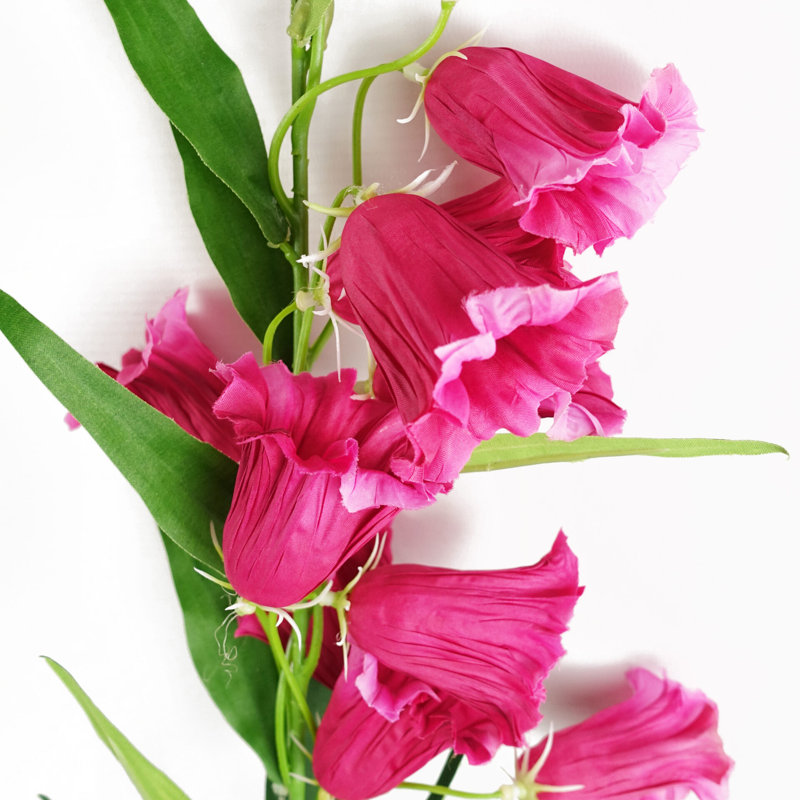 Antiqua Arrangement