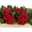 Beaverton Magnolia Faux Floral in Planter-1044821974