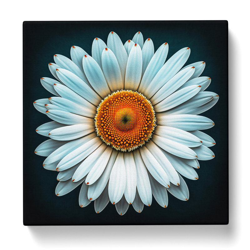 No Frame - Wrapped Canvas - Framed Print
