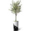 Arbre artificiel dans un pot de fleurs moderne, décoration d'arbre en soie d'olivier artificiel (pot et arbre)-925170724-938195085