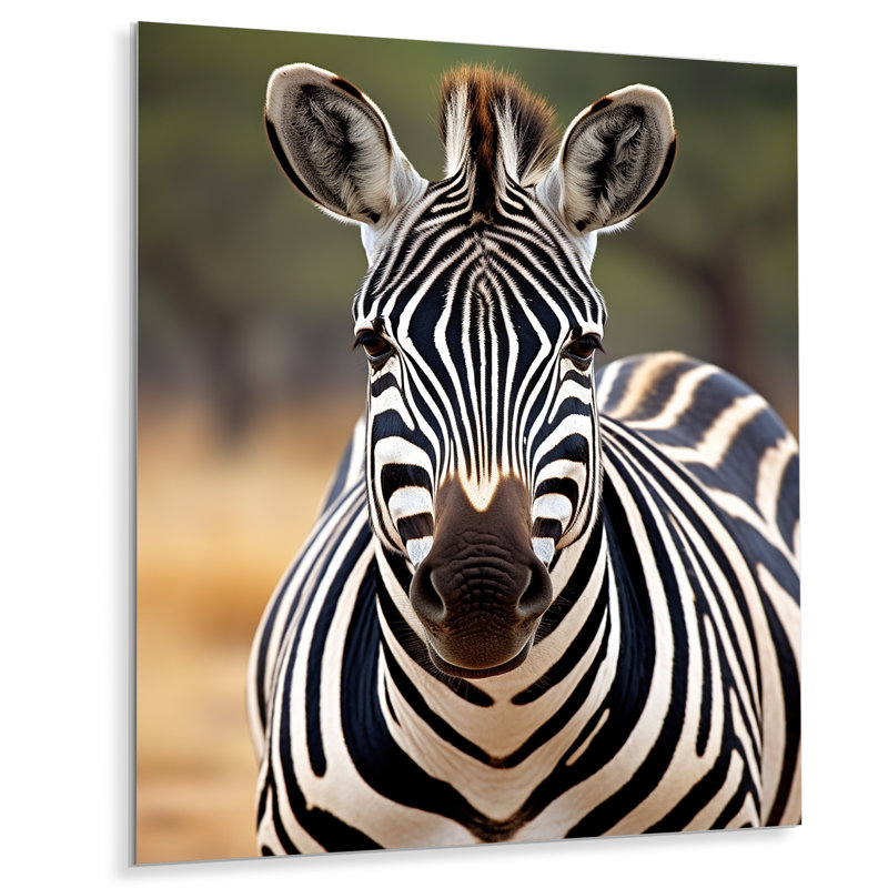 Motif de zèbre zébré - animaux, impression sur métal, H 20 po x l 12 po x P 1 po