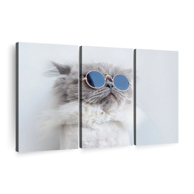 " Cool Cat " 3 - Pieces, 20" H x 33" W