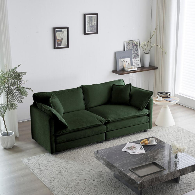 2 - Piece Living Room Sofa Set