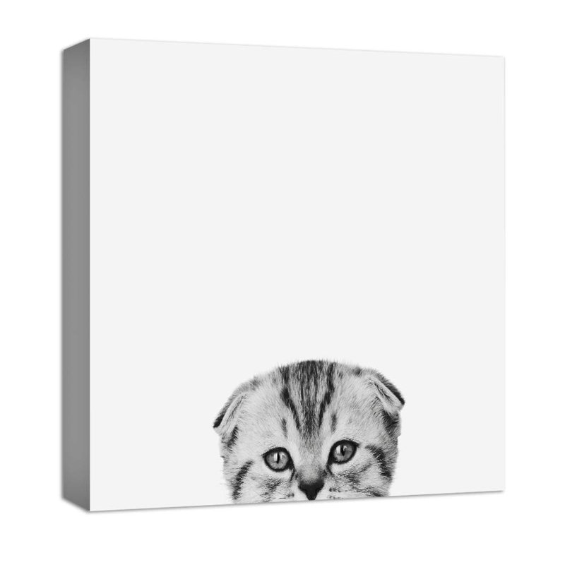 Chat timide sur toile, H 12 po x l 12 po x P 1,5 po