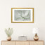 Transparent Transparent III - Sauge-530773756-530773754