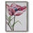 Paris Poppy Framed Print - Solid Wood-579505893