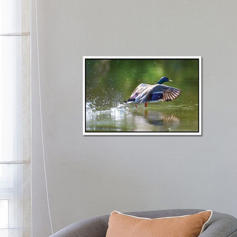 Lift Off by David Gardiner - Floater Frame Print on Canvas, White Framed, 66.04 cm H x 45.72 cm W