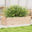 Amiela Planter Box-918828455-918828458