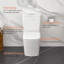 Double toilette monobloc allongée au sol à hauteur de confort 1/1 / 1,6 gallons GPF (siège inclus)