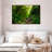 Forest Stream-1705934036-1705934039