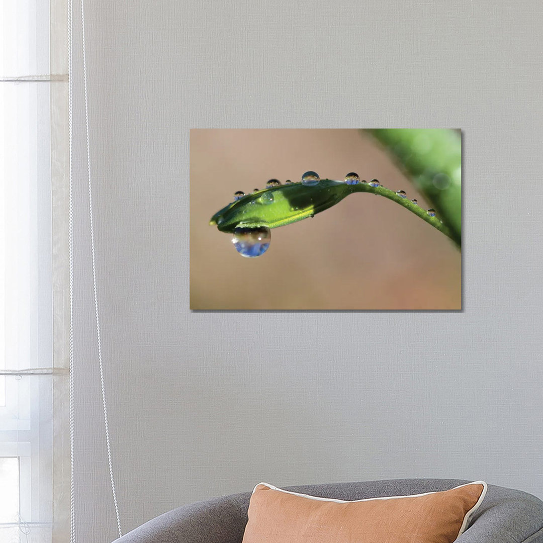 Droplets II by Mateusz Piesiak - Wrapped Canvas Print