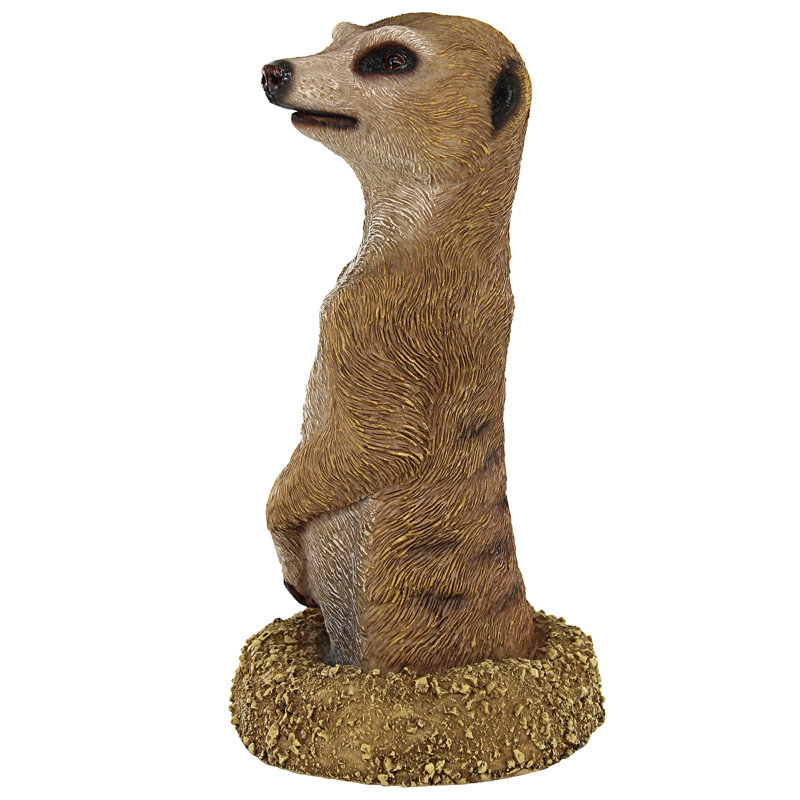 Statue trou dans un suricate africain