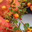 COPPER LEAF - 26" Autumn Wreath 