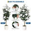 Arrangement