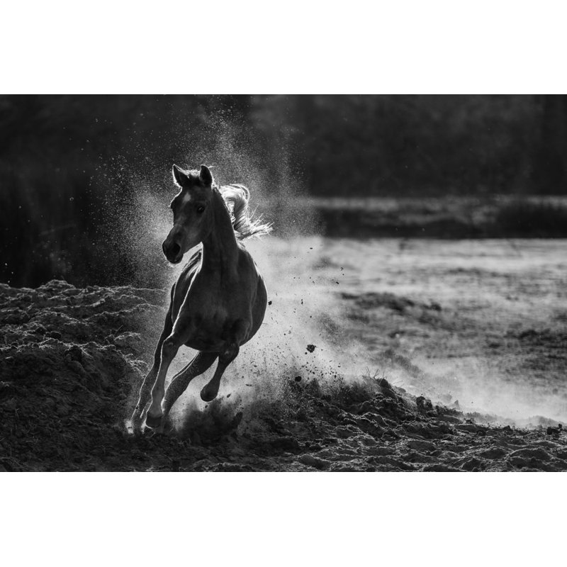 Wrapped Canvas Print, 76.2 cm H x 50.8 cm W