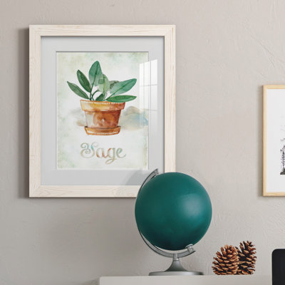 " Potted Sage "