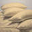 6-Piece Rayon From Bamboo Blend Sheet Set-1001890417-1001890407