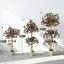 150cm Plant