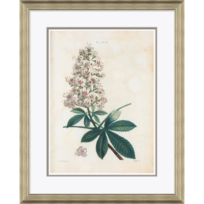 «Aesculus Hippocastorum» par Paul Cezanne - cadre photo, impression sur papier