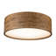 Rustic Lodge 4 - Light Flush Mount