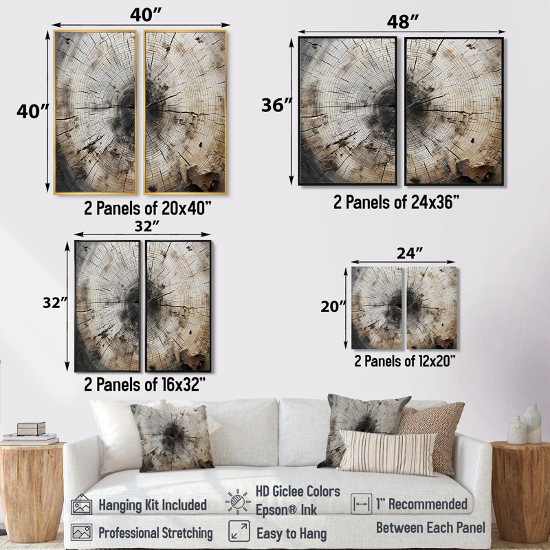 «Tree Cut Stump Beauty», art mural sur toile traditionnel, H 40 po x l 40 po, Noir, Impression encadrée flottante