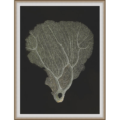 Deep Calm 2 Framed Print