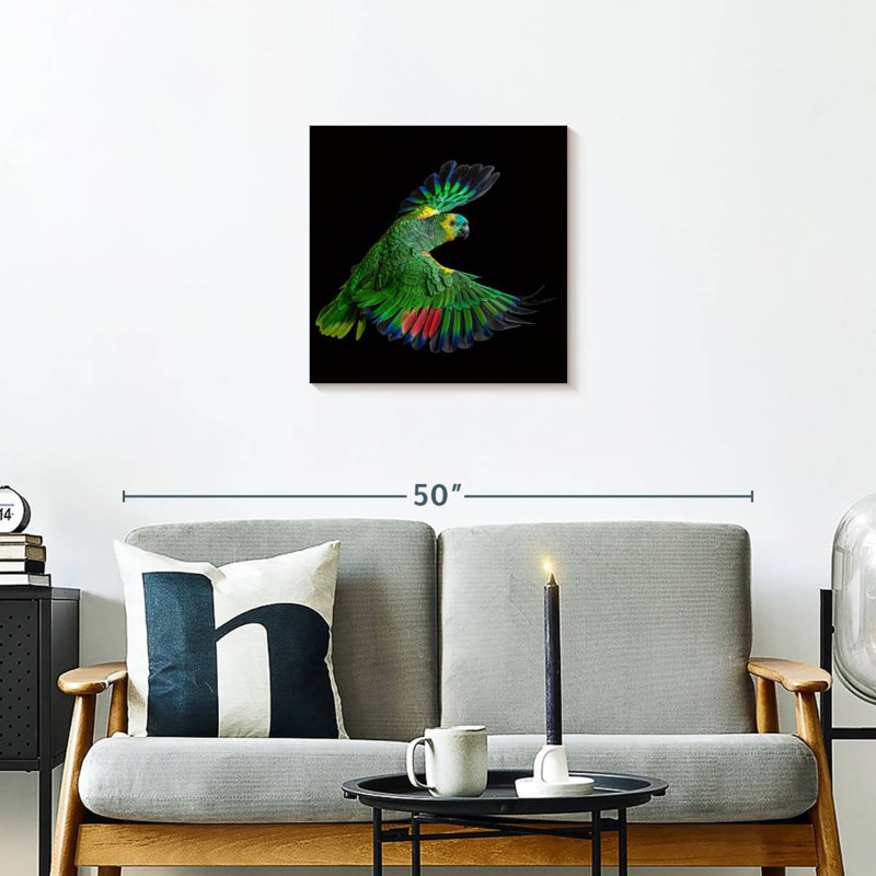 Brampt Flying Parrot, 20" H x 20" W