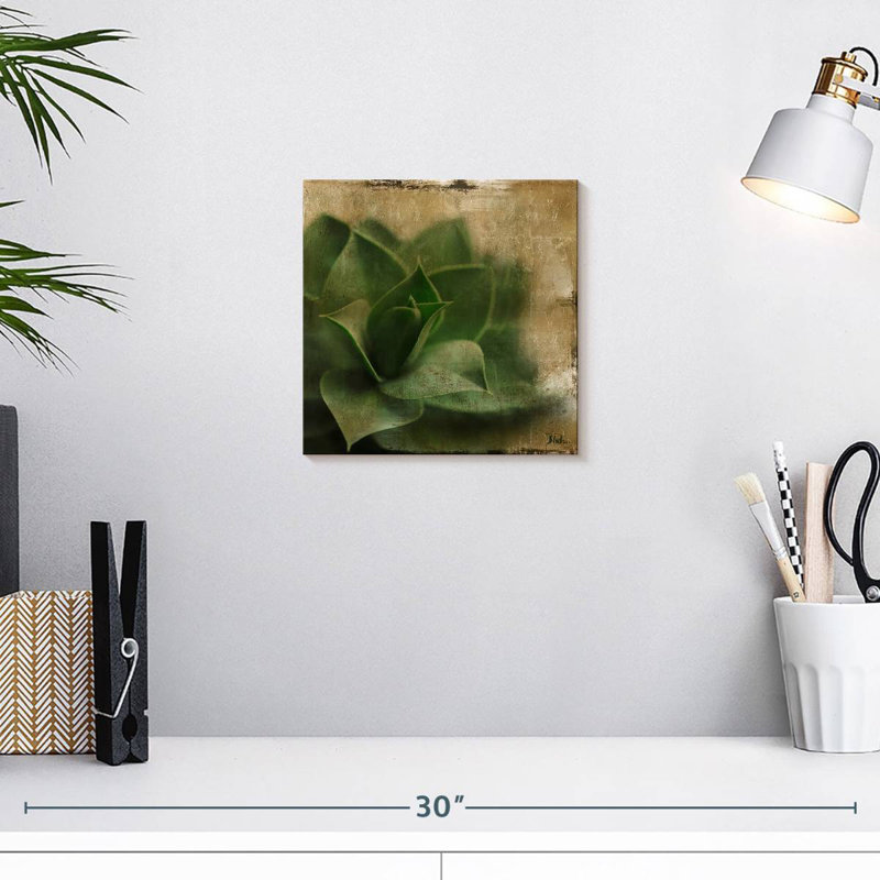 Harnek Succulent II, 10" H x 10" W