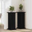 Plant Stand - Set of 2