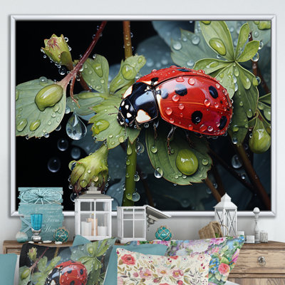 " Rainy Ladybugs Lullaby "