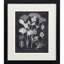 Mono Botanicals II S/2 Print by Libby Langdon Paragon