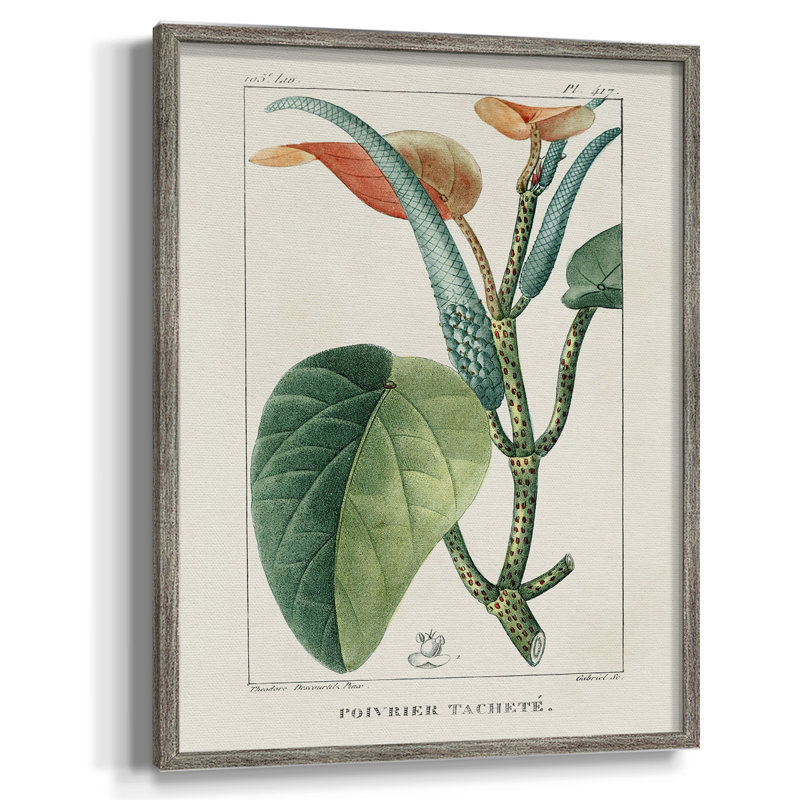 «Turpin Tropical Botanicals II», reproduction encadrée - bois massif, H 15 po x l 12 po
