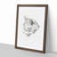 Sketch of a Cat by Jean Bernard - Picture Frame Drawing Print-55619492-55619493
