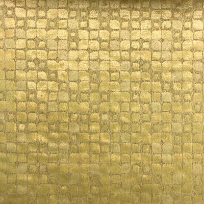 Embossed Velvet | Baxter Fabric_BAXTER
