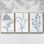 Ensemble de 3 pièces botaniques antiques encadrées sur toile IV-97759904-97759901