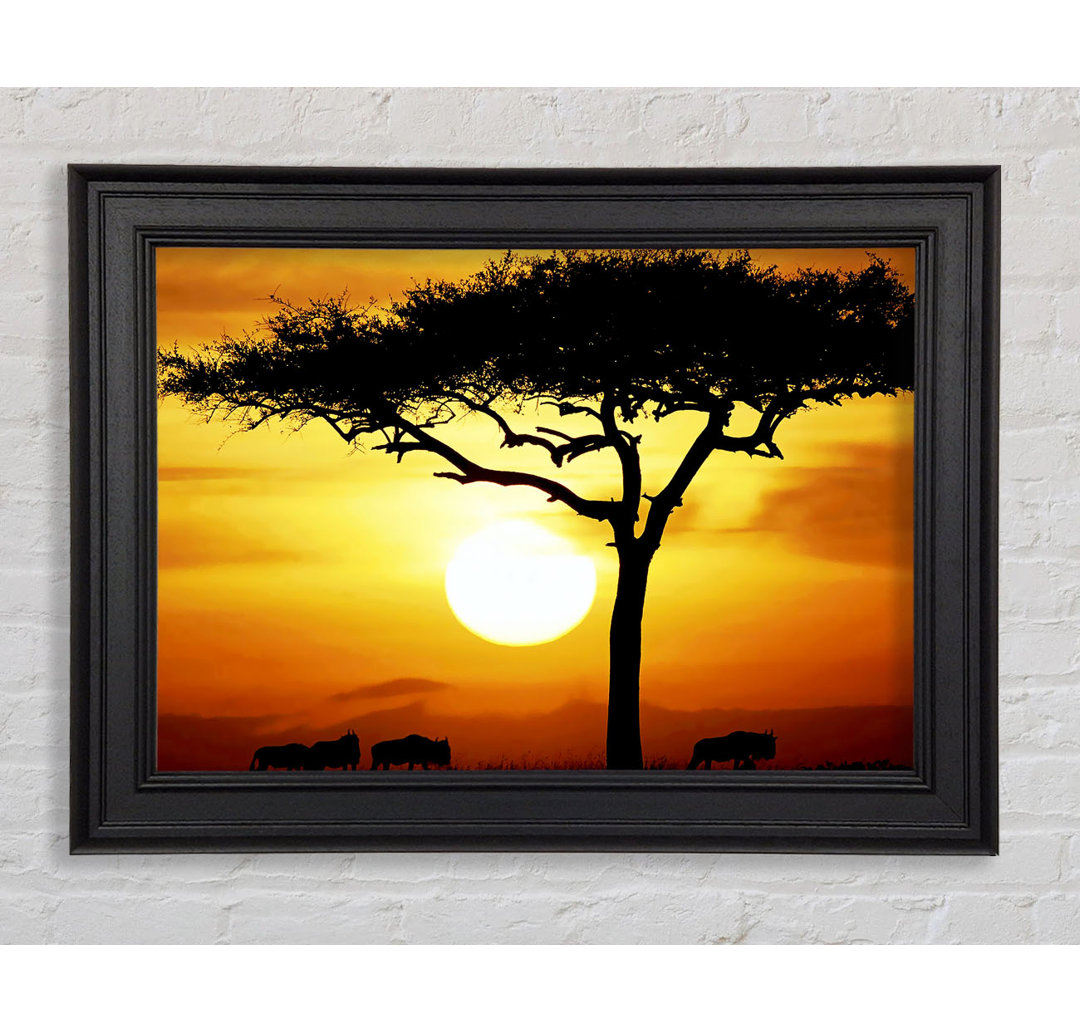 African Safari Tree In Sunlight Gerahmter Druck