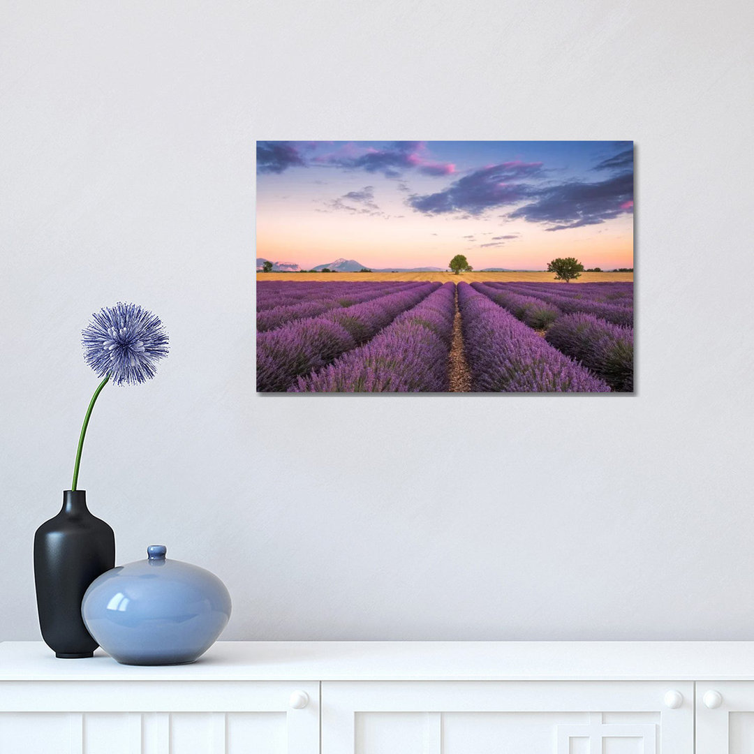 Valensole Sunset, Provence, France by Jim Nilsen - Wrapped Canvas Print