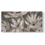 Magnolia embelli II - Toile tendue avec châssis - Prêt à accrocher-832672067