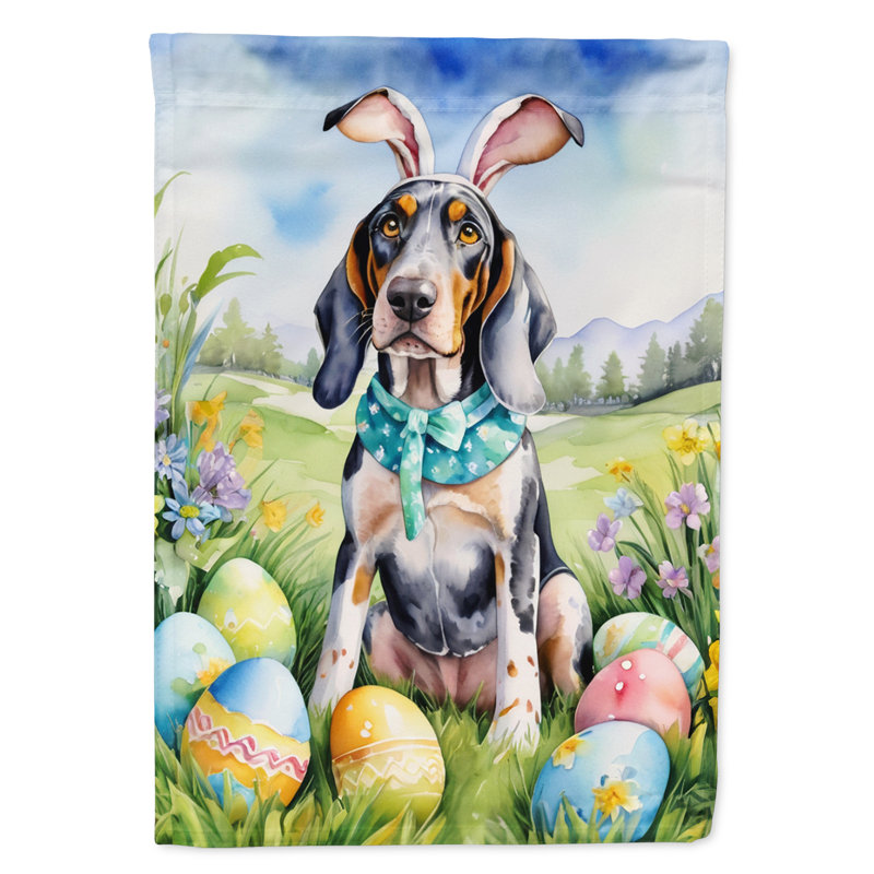 Drapeau Bluetick Coonhound