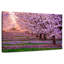 Alvord, Californie, arbres Sakura-108888423