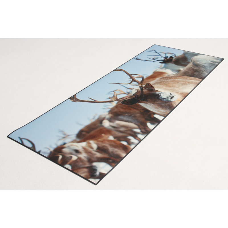Monissa Area Rug, Runner 50 x 120cm